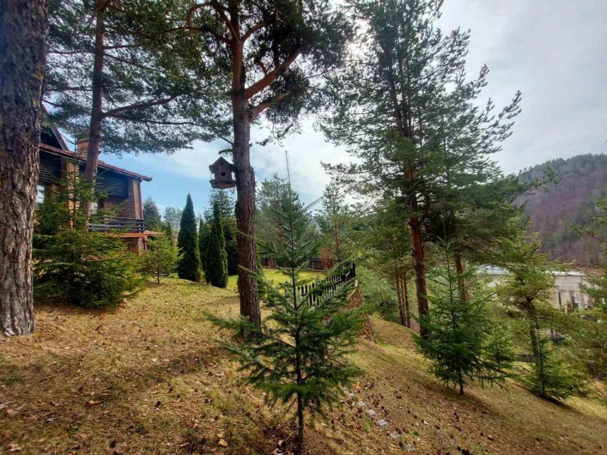 Aurora Resort & Spa Berovo Kültér fotó