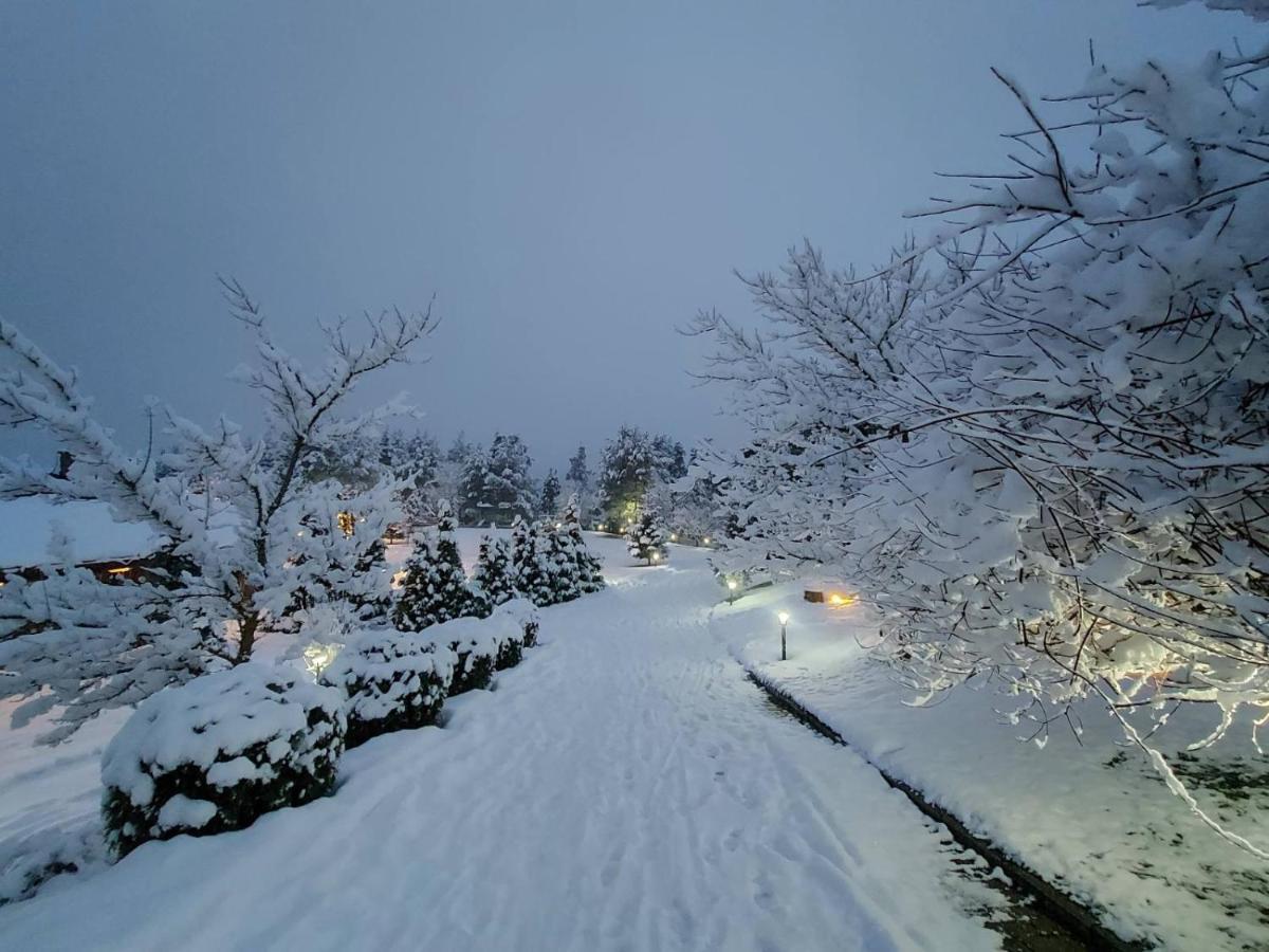 Aurora Resort & Spa Berovo Kültér fotó